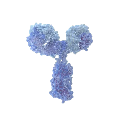 Human Synaptopodin Antibody Pair - BSA and Azide free